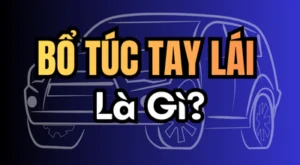 Bổ túc tay lái là gì? Là chuyên đề cần thiết cho các bạn chuẩn bị thi sát hạch. Và các bạn đã có bằng nhưng tay lái còn yếu.