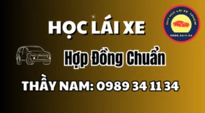 Hợp đồng học lái xe ô tô cần ghi rõ hạng bằng, thời gian, học phí và thanh toán. Thầy Nam chia sẻ 8 mục cần kiểm tra. Xem Ngay!