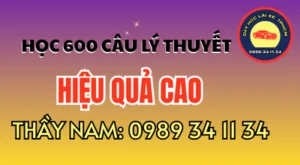 Học lý thuyết lái xe hạng B theo từng nhóm nội dung, lập lịch ôn, ghi lại câu sai và luyện đề đúng cách để nhớ lâu, tránh học dồn. Xem ngay!