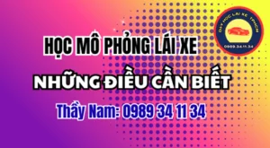 Học mô phỏng lái xe hiện nay gồm những gì? Xem cách nhận biết nguy hiểm, chuẩn bị buổi học và phân biệt với thực hành cabin. Thầy Nam